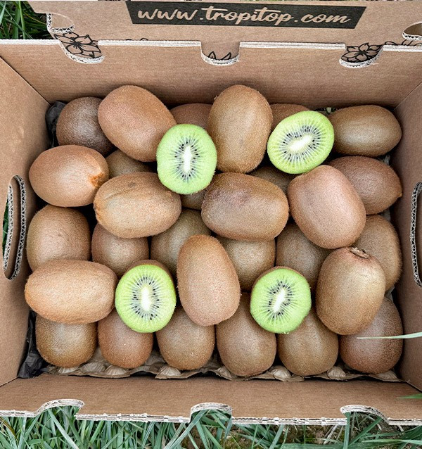 Acquista Kiwi Verde Online su Tropitop