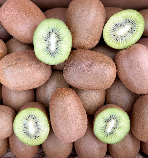 Comprar Kiwi Verde Online en Tropitop