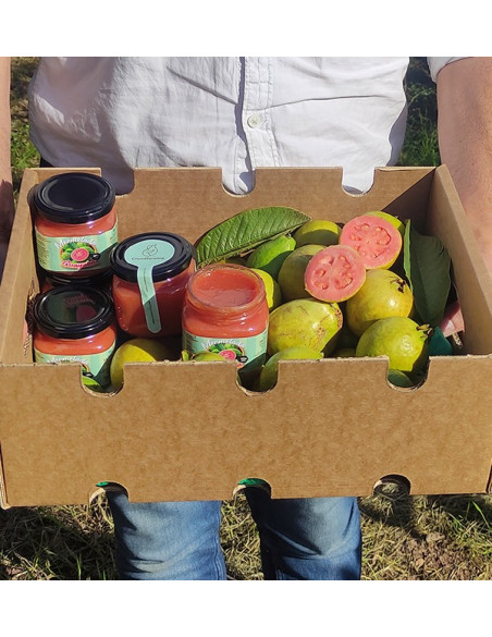 Buy Natural Guava Jam | Handmade & Organic | Tropitop
