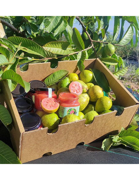 Acheter Confiture de Goyave Naturelle | Artisanale et Bio | Tropitop