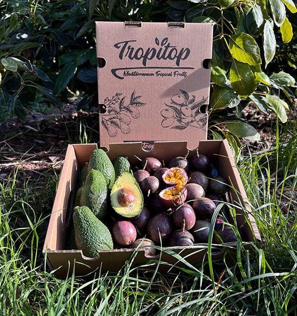 Acquista Frutto della Passione e Avocado Hass | Freschezza e Gusto Esotico su Tropitop