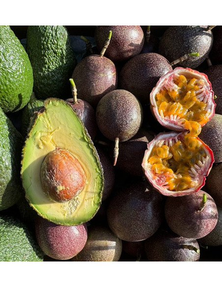 Acquista Frutto della Passione e Avocado Hass | Freschezza e Gusto Esotico su Tropitop