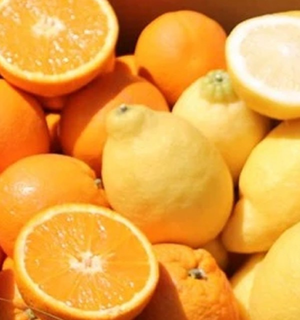 GIFT: 1kg Lemons + 1kg Oranges FREE*