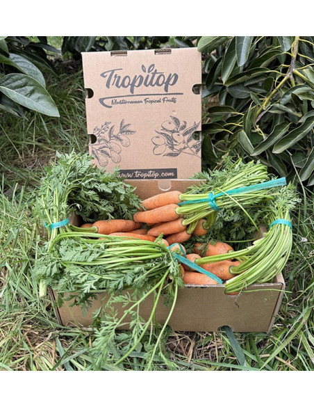 Acheter des carottes en ligne sur Tropitop