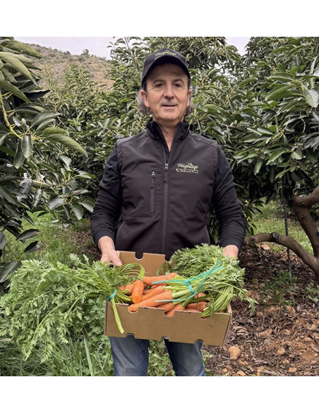 Buy Carrots Online at Tropitop