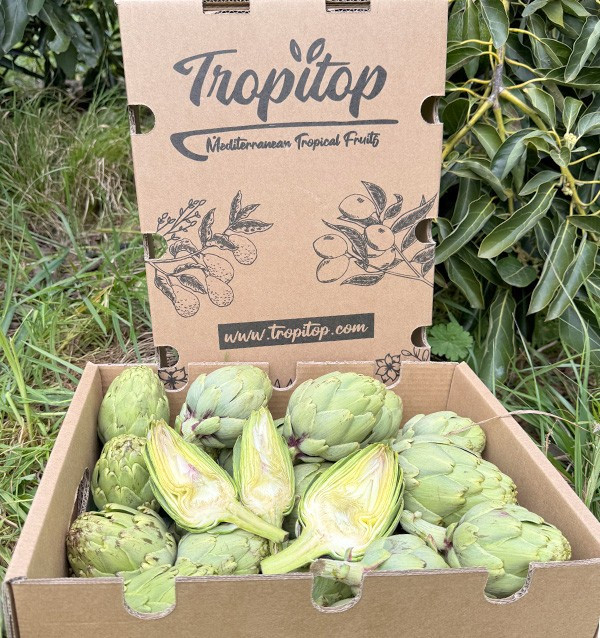 Buy Valencian Artichokes Online at Tropitop