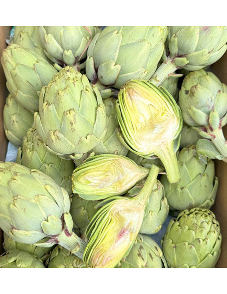 Comprare Carciofi Valenciani Online su Tropitop