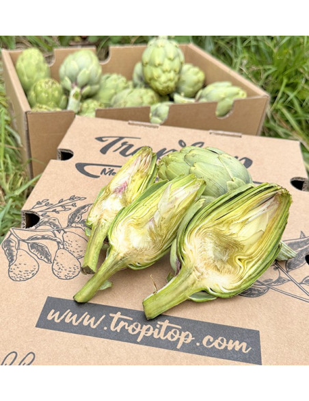 Buy Valencian Artichokes Online at Tropitop