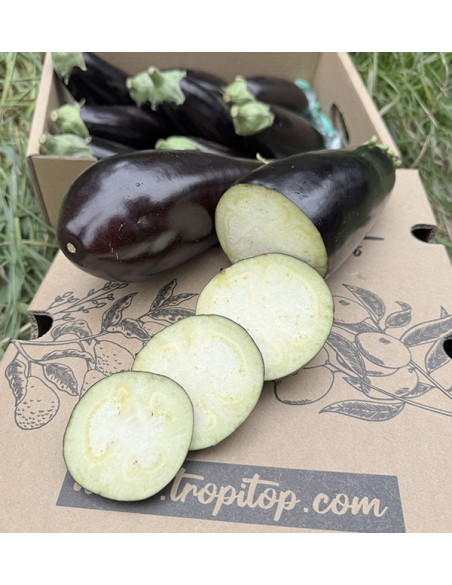 Comprar Berenjena Negra Online en Tropitop