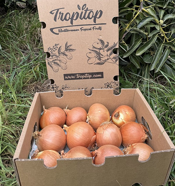 Buy White Dried Onions Online at Tropitop