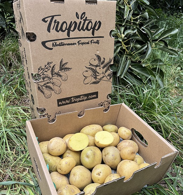 Comprar Batata Branca Nova Online em Tropitop