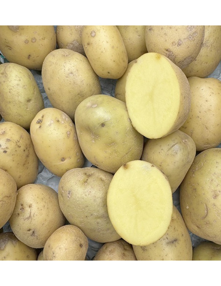 Comprar Batata Lavada Online na Tropitop