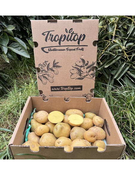 Comprar Batata Branca Nova Online em Tropitop