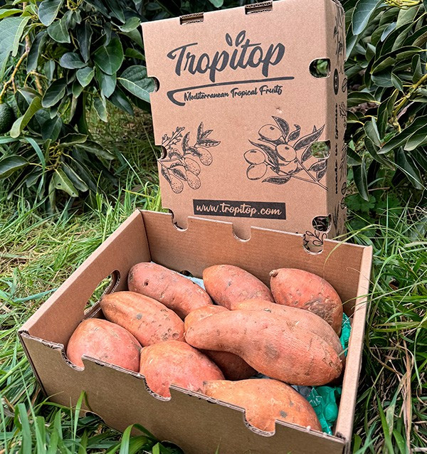 Comprar Batata Online na Tropitop