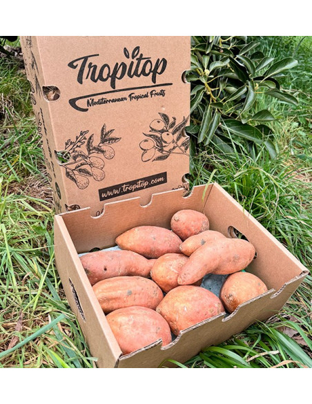 Buy Sweet Potatoes Online at Tropitop