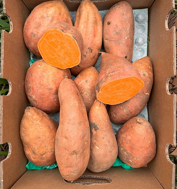 Comprar Batata Online na Tropitop 2