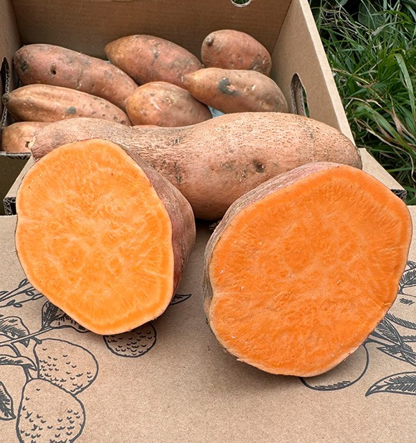 Buy Sweet Potatoes Online at Tropitop