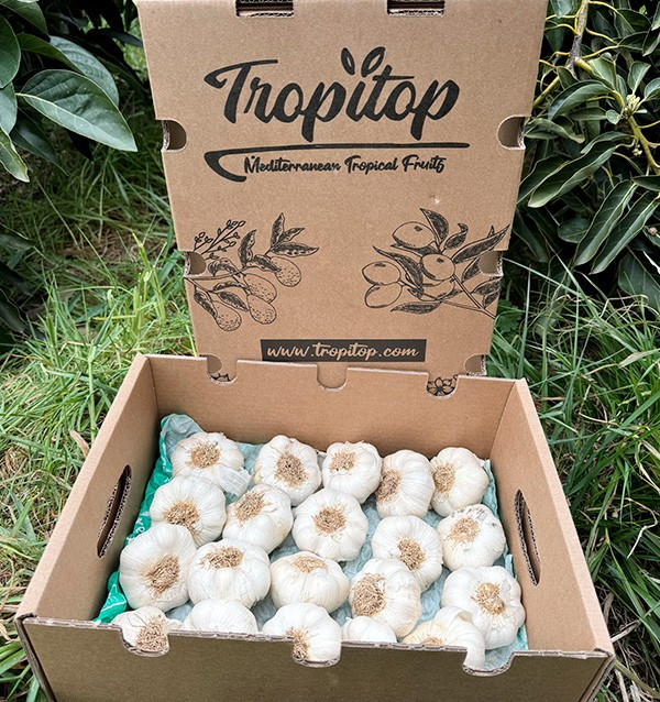 Comprar Ajo Blanco Online en Tropitop