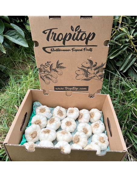 Comprar Ajo Blanco Online en Tropitop