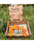 Orange Marmalade