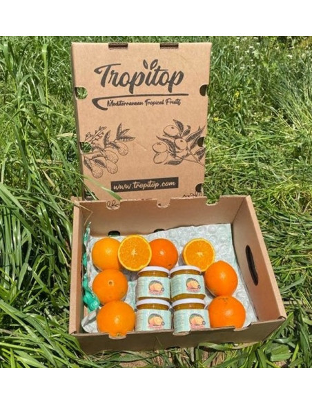 Buy Artisanal Orange Marmalade | Tropitop