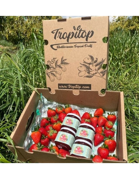 Comprar Geleia de Morango Artesanal | Tropitop