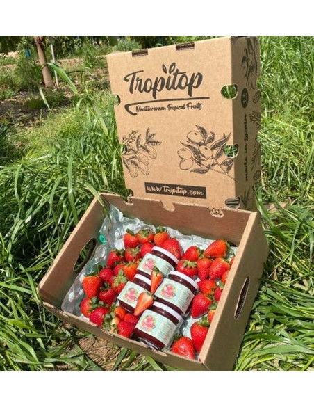 Comprar Geleia de Morango Artesanal | Tropitop