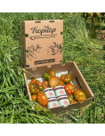 Geleia de tomate