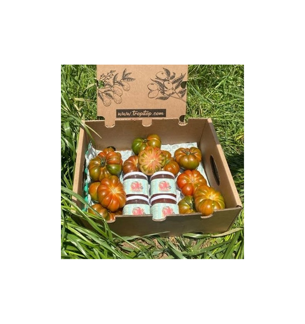 TOMATO　おまとめ商品 premium tokutani52 | 春 Spring fruits,徳谷トマト