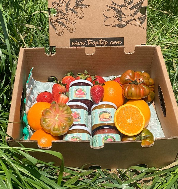Comprar Pack de Mermeladas Artesanales | Tropitop