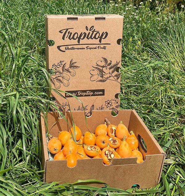 Comprar nêsperas online na Tropitop