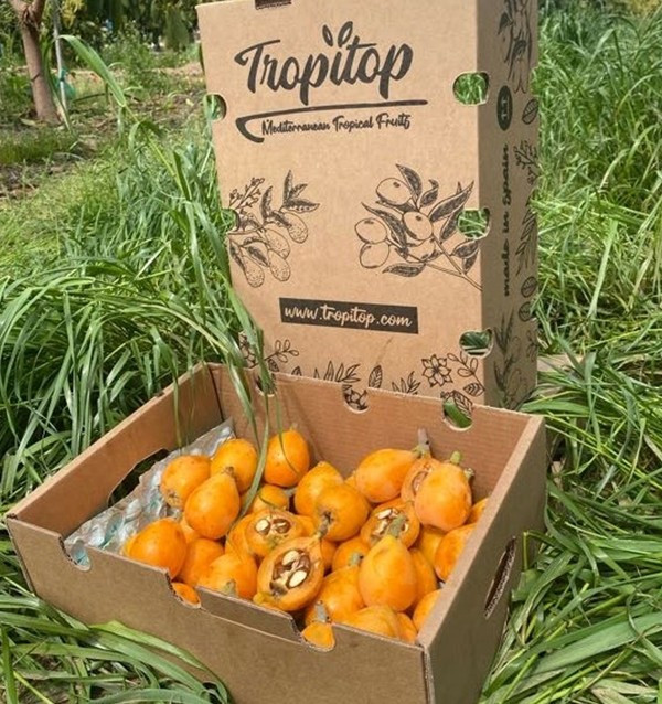 Comprar nêsperas online na Tropitop