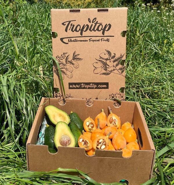 Comprar Nêsperas e Abacates Hass Online na Tropitop