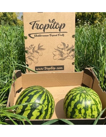 Comprar Sandía Rayada Online en Tropitop
