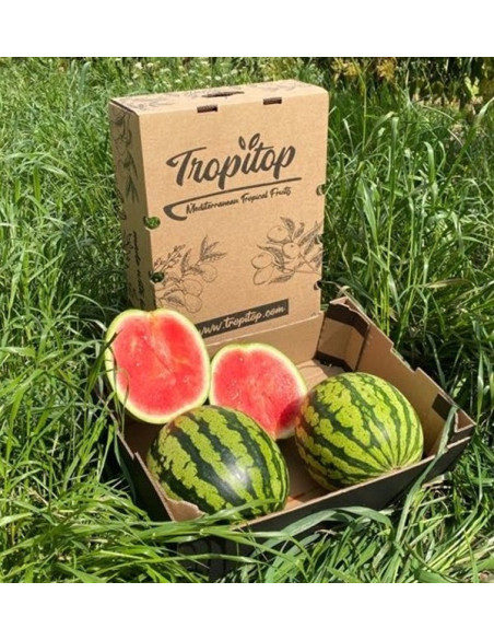 Buy Striped Watermelon Online at Tropitop