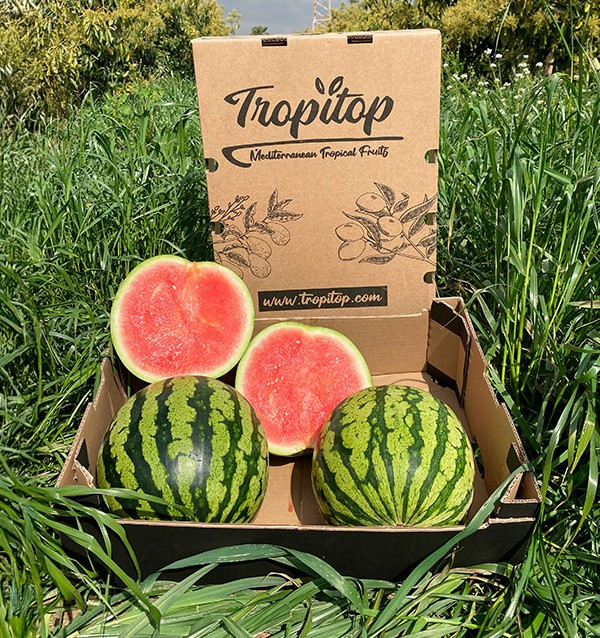 Comprar Sandía Rayada Online en Tropitop