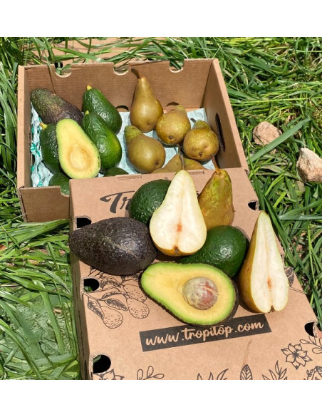 Aguacates Hass y Peras