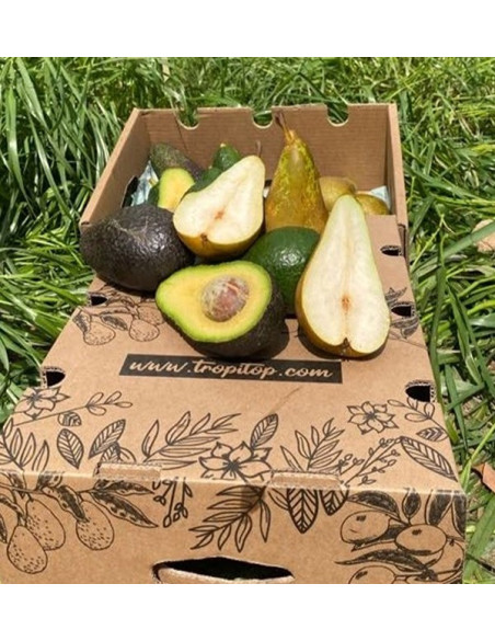 Aguacates Hass y Peras