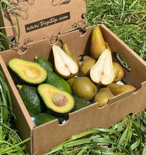 Comprare Avocado Hass e Pere Online | Tropitop