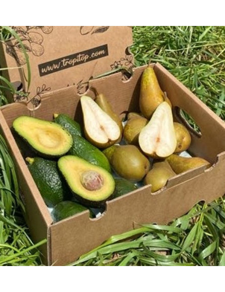 Aguacates Hass y Peras