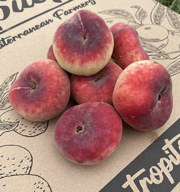 Comprar Paraguayos Online en Tropitop | Fruta de Verano