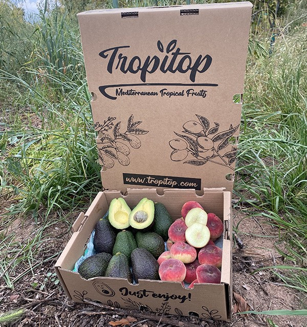 Acquista Avocado Hass e Pesche Piatte Online | Tropitop