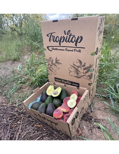 Acheter Avocats Hass et Pêches Plates en Ligne | Tropitop