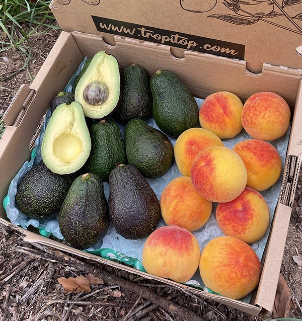 Buy Hass Avocados and Yellow Peaches Online | Tropitop 2
