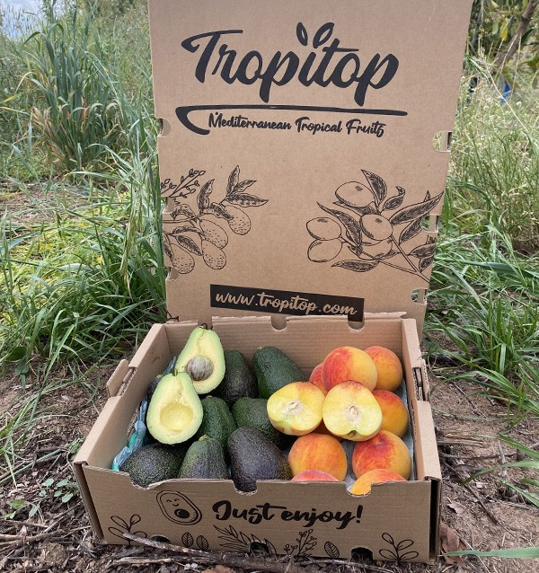 Acheter Avocats Hass et Pêches Jaunes en Ligne | Tropitop