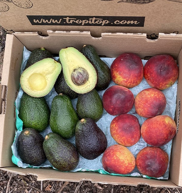 Comprar Aguacates Hass y Melocotón Rojo Online en Tropitop 2