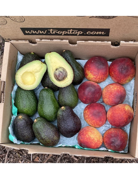 Comprar Aguacates Hass y Melocotón Rojo Online en Tropitop