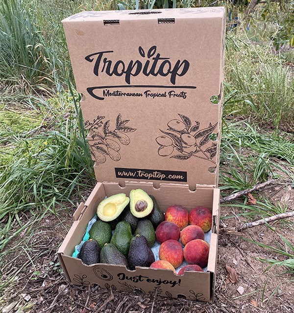 Comprar Aguacates Hass y Melocotón Rojo Online en Tropitop