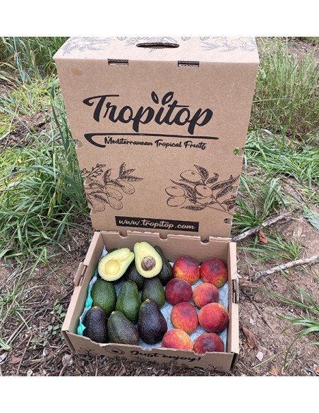 Comprar Aguacates Hass y Melocotón Rojo Online en Tropitop