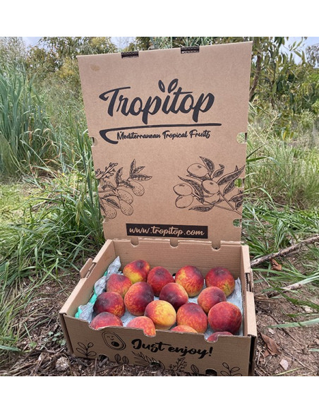 Acheter Pêches Rouges en Ligne | Fruits de Saison Direct Producteur